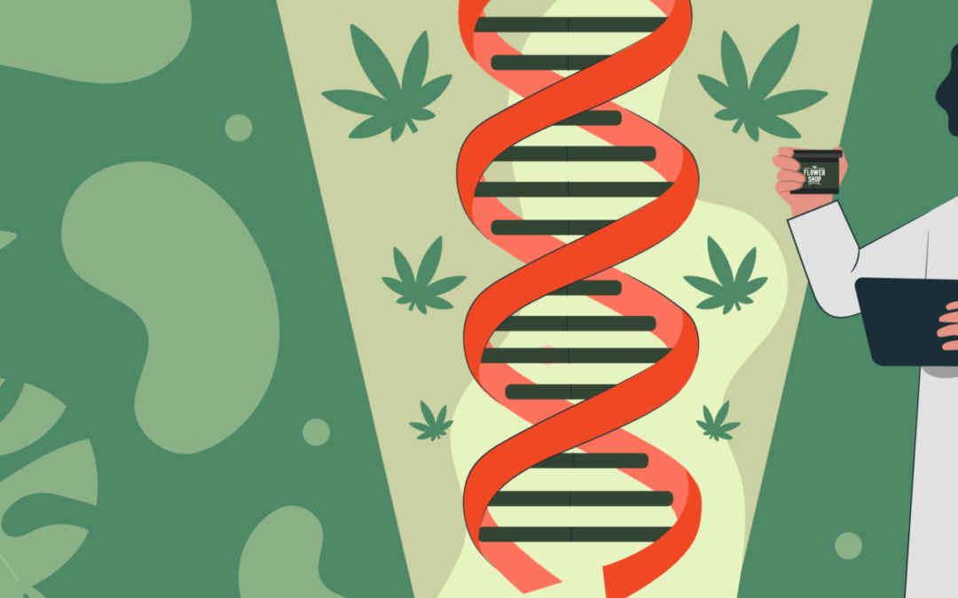 Endocannabanoid System