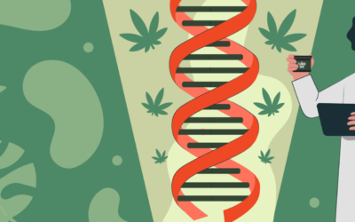 Endocannabanoid System