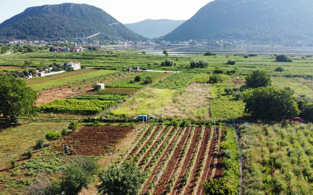 Ragusa & The Peljesac Peninsula